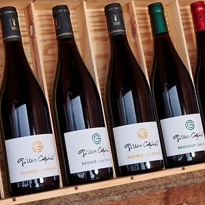 Les Glycines - Domaine Gilles Coperet Regnie-Durette